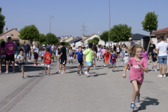 SML6786