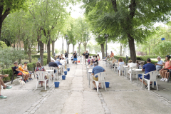 Cata de vinos