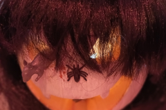 Halloween_34