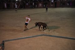 DSC02527