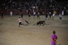 DSC02613