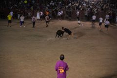 DSC02680