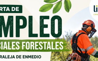 Oferta oficiales forestales