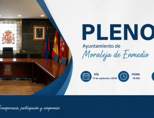 Pleno Ordinario 17 de septiembre 2026